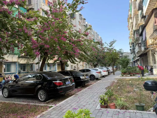 1767923564900345.png 11111111111111.png